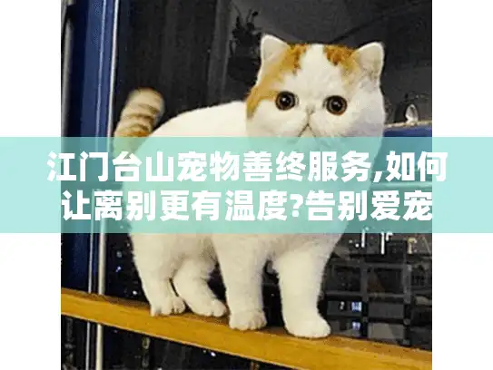 江门台山宠物善终服务,如何让离别更有温度?告别爱宠指南