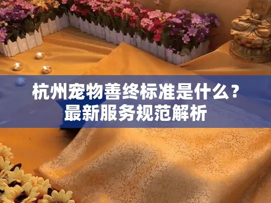 杭州宠物善终标准是什么？最新服务规范解析