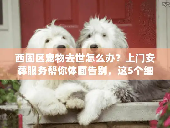 西固区宠物去世怎么办？上门安葬服务帮你体面告别，这5个细节一定要注意！