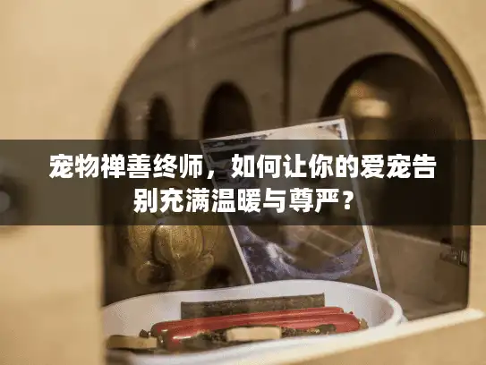 宠物禅善终师，如何让你的爱宠告别充满温暖与尊严？