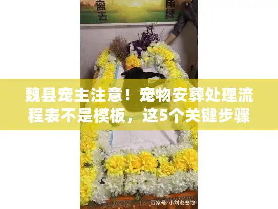 魏县宠主注意！宠物安葬处理流程表不是模板，这5个关键步骤90%的人都漏了