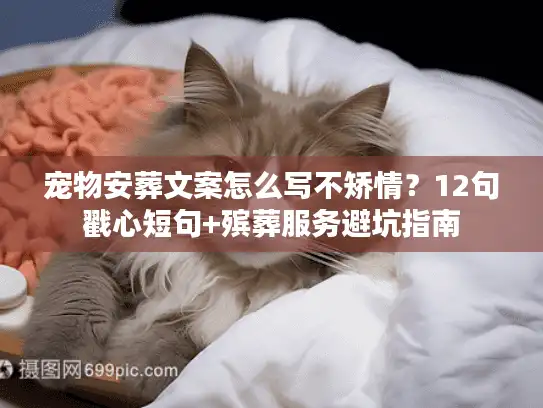 宠物安葬文案怎么写不矫情？12句戳心短句+殡葬服务避坑指南