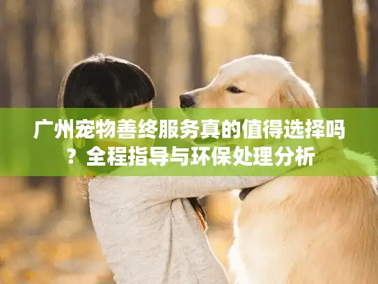 广州宠物善终服务真的值得选择吗？全程指导与环保处理分析