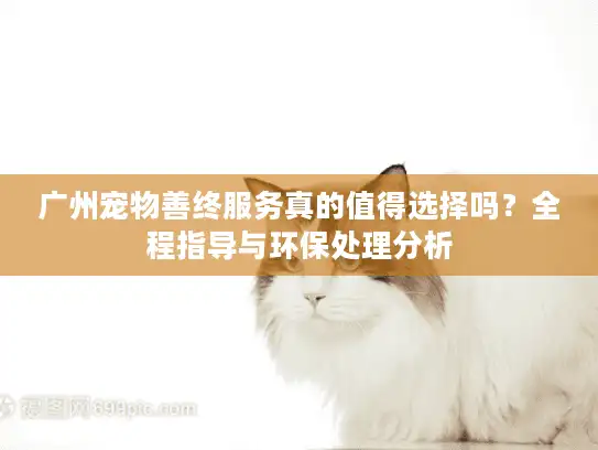 广州宠物善终服务真的值得选择吗？全程指导与环保处理分析