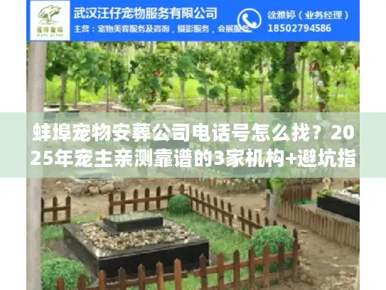 蚌埠宠物安葬公司电话号怎么找？2025年宠主亲测靠谱的3家机构+避坑指南