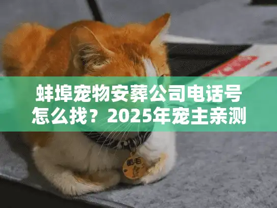 蚌埠宠物安葬公司电话号怎么找？2025年宠主亲测靠谱的3家机构+避坑指南