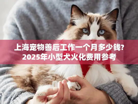上海宠物善后工作一个月多少钱?2025年小型犬火化费用参考