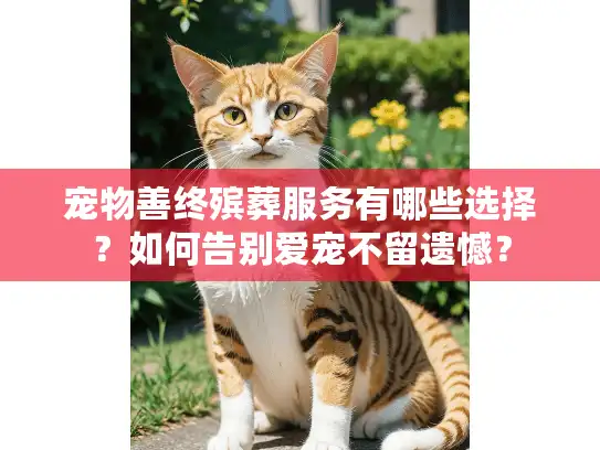宠物善终殡葬服务有哪些选择？如何告别爱宠不留遗憾？