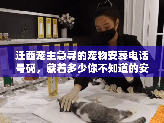 迁西宠主急寻的宠物安葬电话号码，藏着多少你不知道的安心秘密？