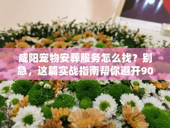 咸阳宠物安葬服务怎么找？别急，这篇实战指南帮你避开90%的坑