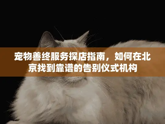宠物善终服务探店指南，如何在北京找到靠谱的告别仪式机构