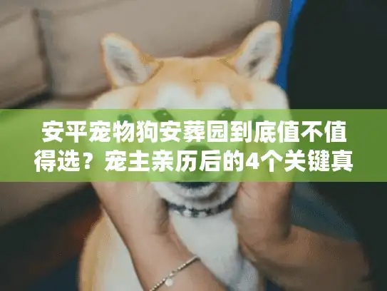 安平宠物狗安葬园到底值不值得选？宠主亲历后的4个关键真相