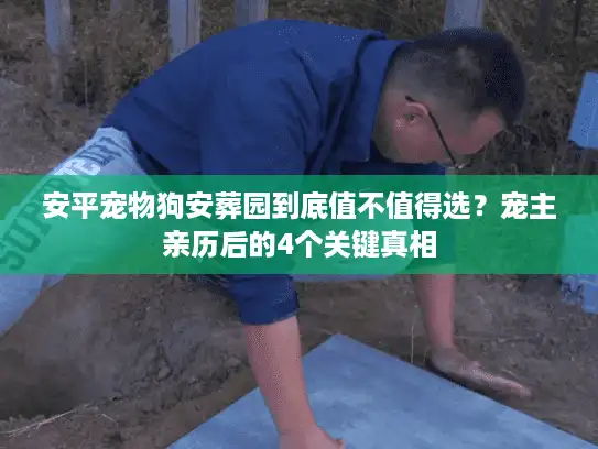 安平宠物狗安葬园到底值不值得选？宠主亲历后的4个关键真相