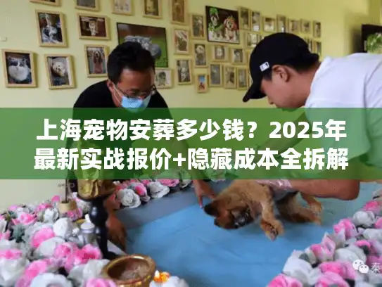 上海宠物安葬多少钱？2025年最新实战报价+隐藏成本全拆解