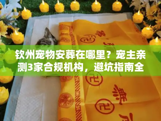 钦州宠物安葬在哪里？宠主亲测3家合规机构，避坑指南全在这