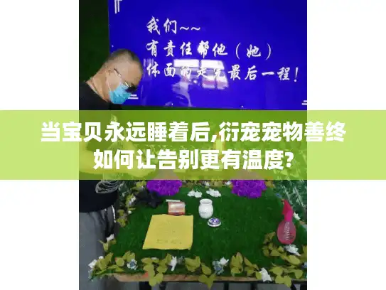 当宝贝永远睡着后,衍宠宠物善终如何让告别更有温度?
