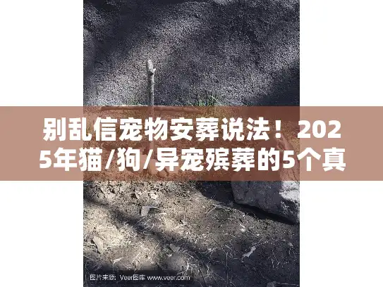 别乱信宠物安葬说法！2025年猫/狗/异宠殡葬的5个真相藏着多少坑？