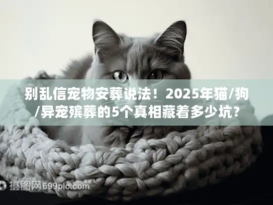 别乱信宠物安葬说法！2025年猫/狗/异宠殡葬的5个真相藏着多少坑？
