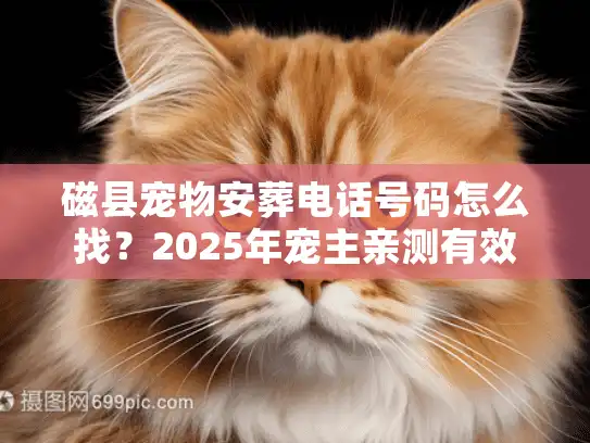 磁县宠物安葬电话号码怎么找？2025年宠主亲测有效的3种方式+避坑指南