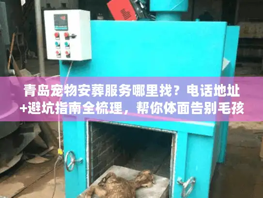 青岛宠物安葬服务哪里找？电话地址+避坑指南全梳理，帮你体面告别毛孩子