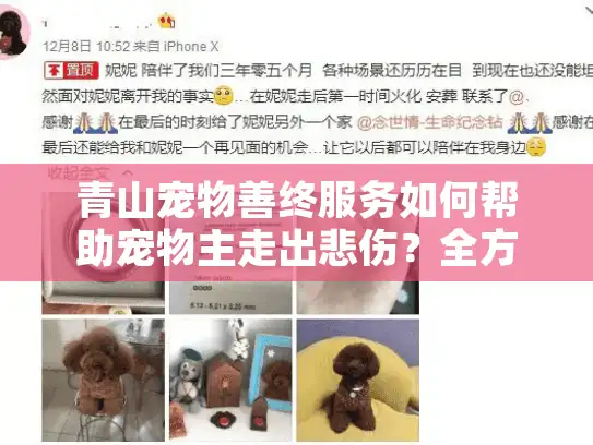 青山宠物善终服务如何帮助宠物主走出悲伤？全方位指南在此