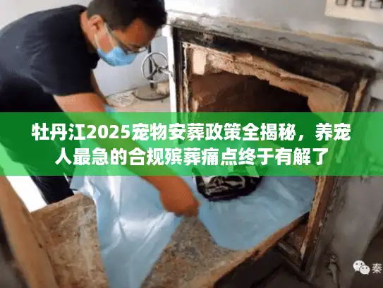 牡丹江2025宠物安葬政策全揭秘，养宠人最急的合规殡葬痛点终于有解了