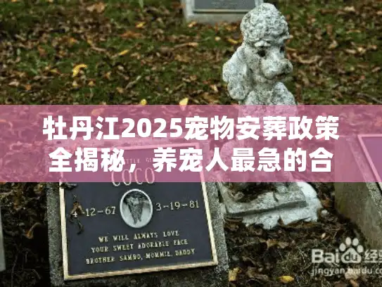牡丹江2025宠物安葬政策全揭秘，养宠人最急的合规殡葬痛点终于有解了