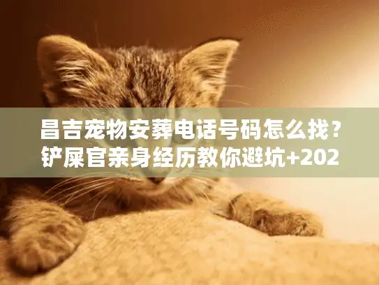 昌吉宠物安葬电话号码怎么找？铲屎官亲身经历教你避坑+2025年靠谱名单