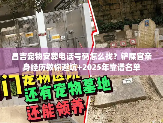 昌吉宠物安葬电话号码怎么找？铲屎官亲身经历教你避坑+2025年靠谱名单