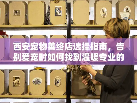 西安宠物善终店选择指南，告别爱宠时如何找到温暖专业的服务