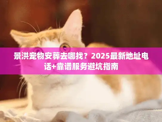 景洪宠物安葬去哪找？2025最新地址电话+靠谱服务避坑指南