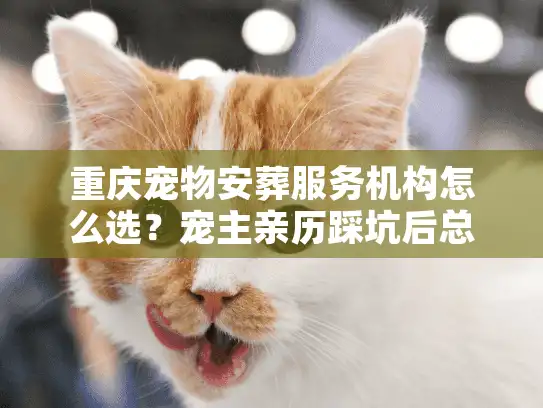 重庆宠物安葬服务机构怎么选？宠主亲历踩坑后总结的6个关键真相