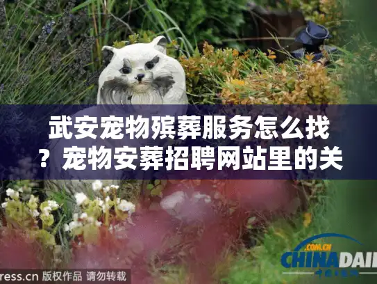 武安宠物殡葬服务怎么找？宠物安葬招聘网站里的关键线索你漏了吗？