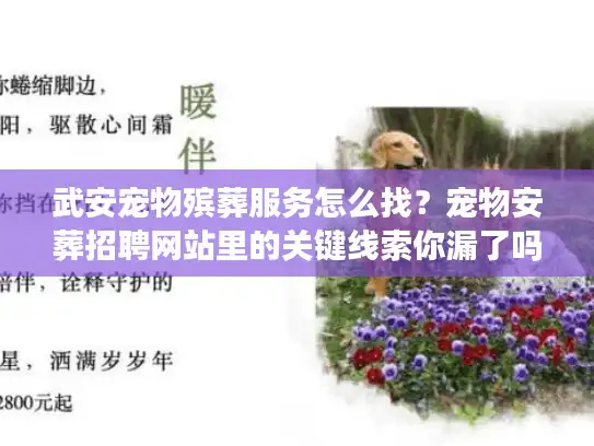 武安宠物殡葬服务怎么找？宠物安葬招聘网站里的关键线索你漏了吗？