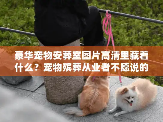 豪华宠物安葬室图片高清里藏着什么？宠物殡葬从业者不愿说的3个真相