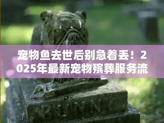 宠物鱼去世后别急着丢！2025年最新宠物殡葬服务流程+3个真实案例教你正确处理