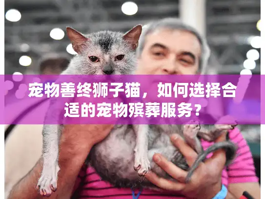 宠物善终狮子猫，如何选择合适的宠物殡葬服务？