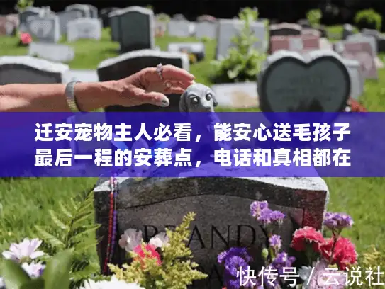 迁安宠物主人必看，能安心送毛孩子最后一程的安葬点，电话和真相都在这