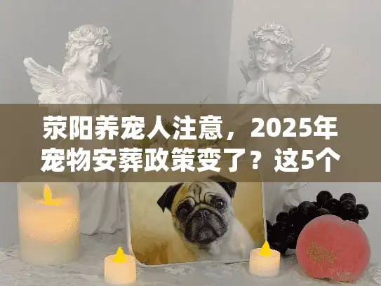 荥阳养宠人注意，2025年宠物安葬政策变了？这5个合规细节直接影响你选殡葬服务