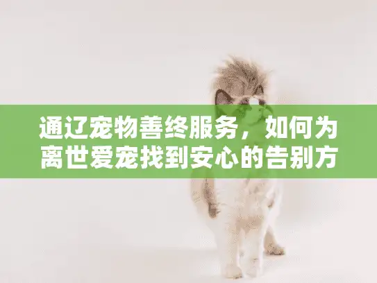 通辽宠物善终服务，如何为离世爱宠找到安心的告别方式？