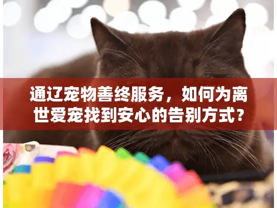 通辽宠物善终服务，如何为离世爱宠找到安心的告别方式？