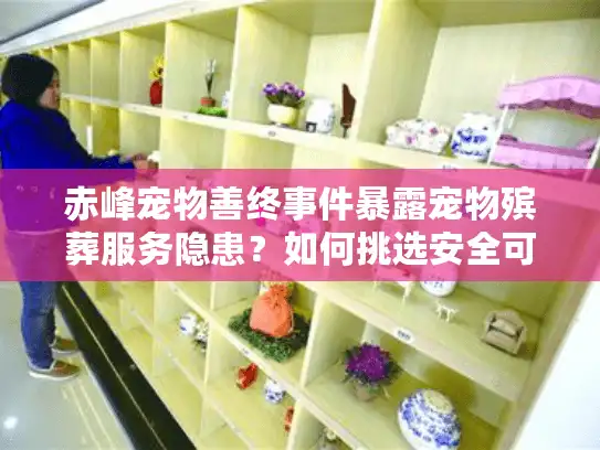 赤峰宠物善终事件暴露宠物殡葬服务隐患？如何挑选安全可靠的服务商？
