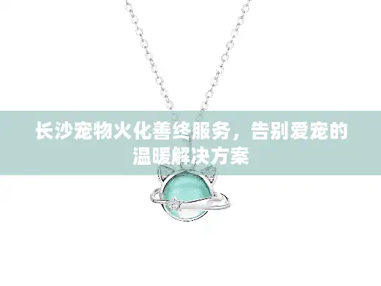 长沙宠物火化善终服务，告别爱宠的温暖解决方案