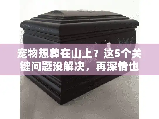 宠物想葬在山上？这5个关键问题没解决，再深情也白搭