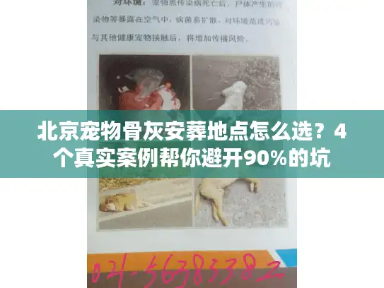北京宠物骨灰安葬地点怎么选？4个真实案例帮你避开90%的坑