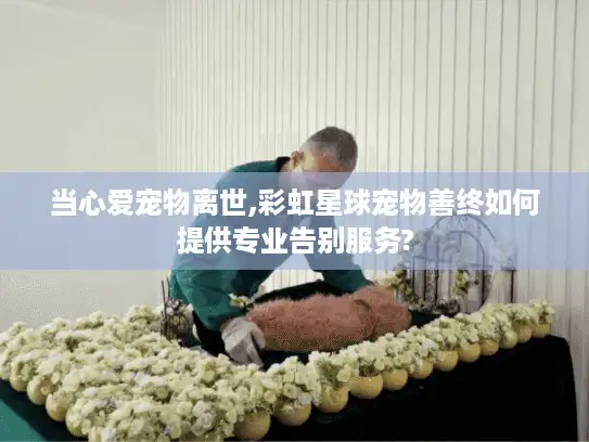 当心爱宠物离世,彩虹星球宠物善终如何提供专业告别服务?