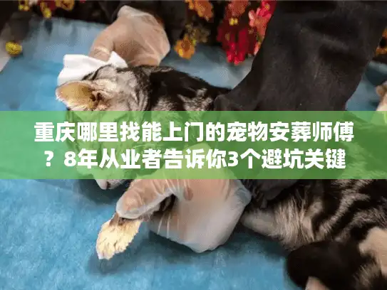 重庆哪里找能上门的宠物安葬师傅？8年从业者告诉你3个避坑关键