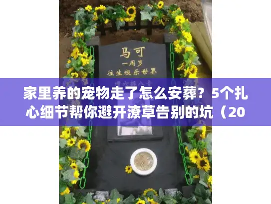 家里养的宠物走了怎么安葬？5个扎心细节帮你避开潦草告别的坑（2025最新）