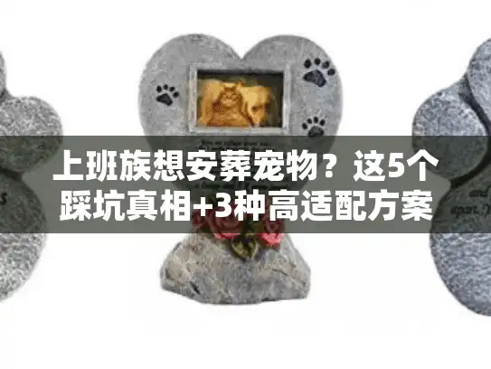 上班族想安葬宠物？这5个踩坑真相+3种高适配方案，帮你少走90%弯路