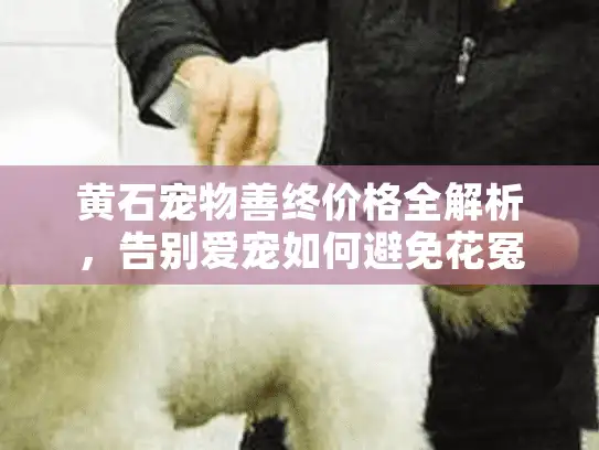 黄石宠物善终价格全解析，告别爱宠如何避免花冤枉钱？